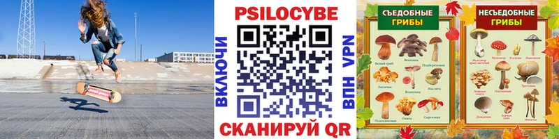 Купить закладки  Черепаново  Псилоцибиновые грибы мухоморы 